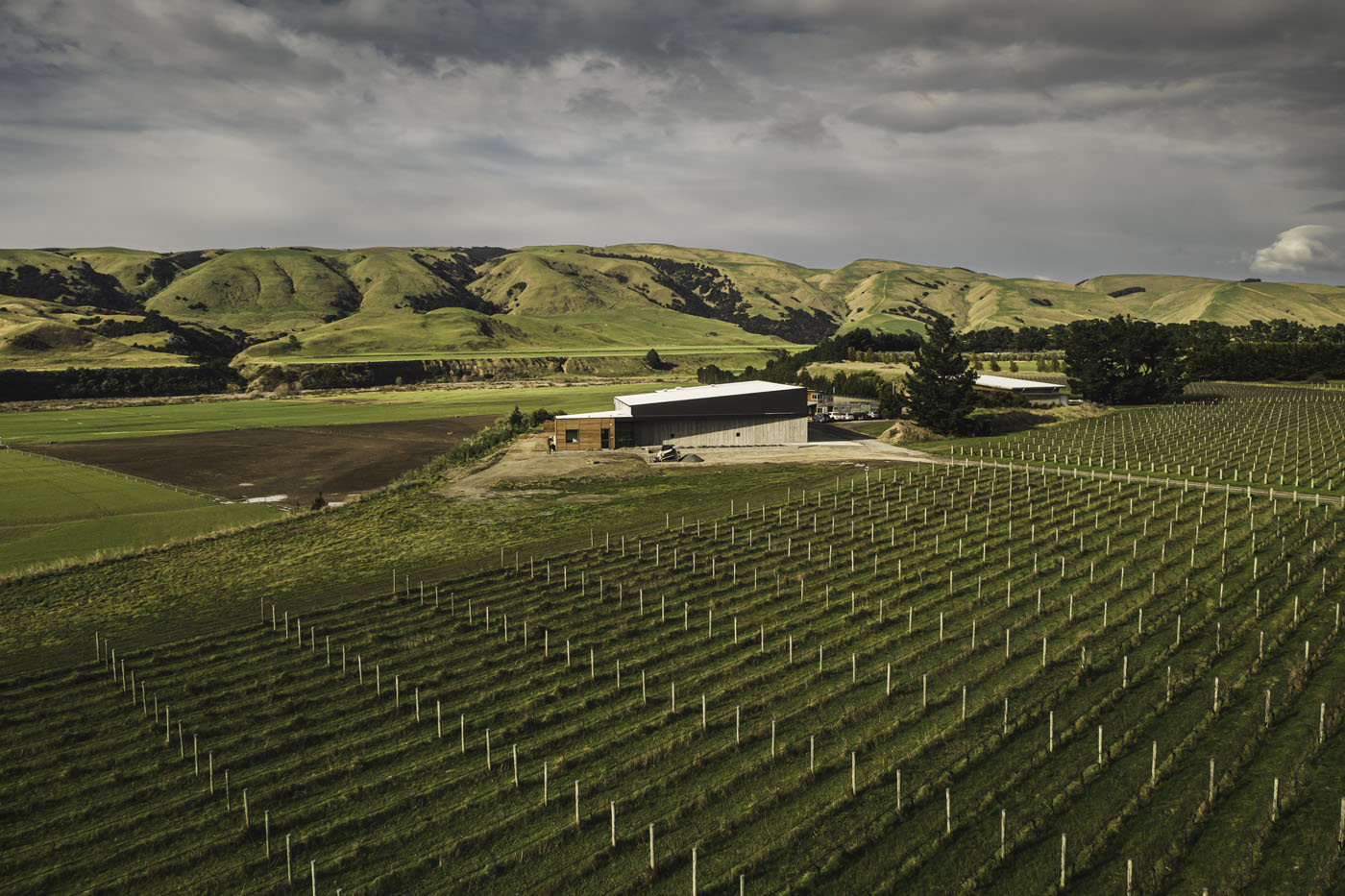 Apollo winery hotsell